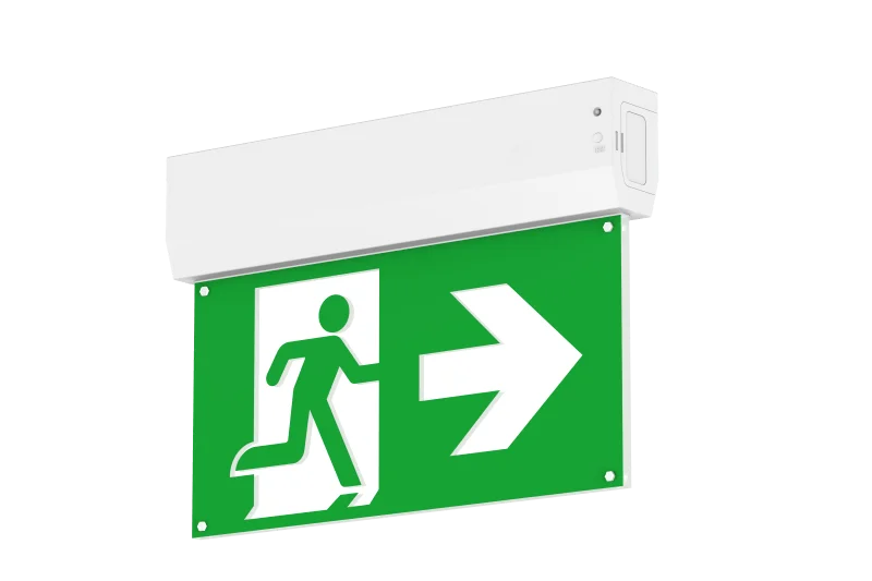 WhyLed Noodverlichting | Surface Mount | Auto Test | Incl. Pictograms