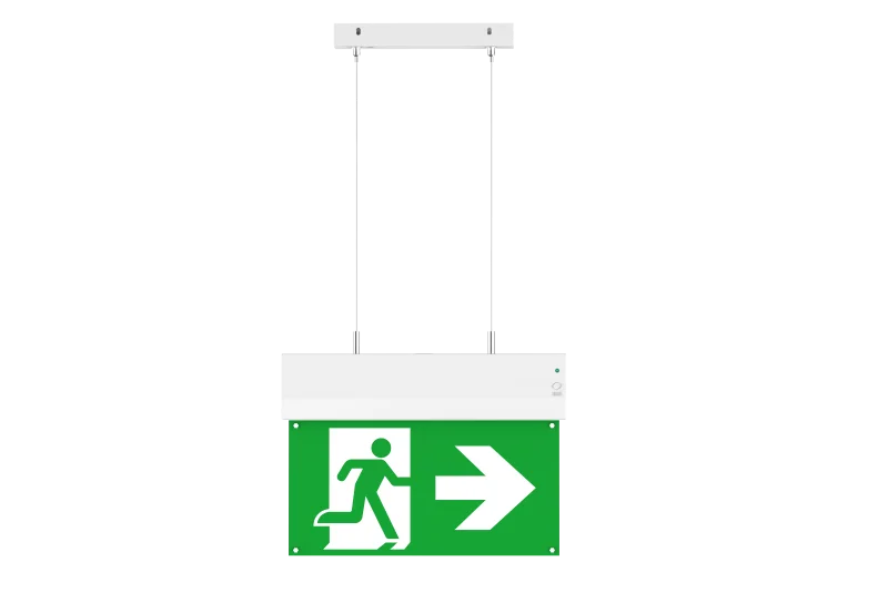 WhyLed Noodverlichting | Surface Mount | Auto Test | Incl. Pictograms - Afbeelding 5
